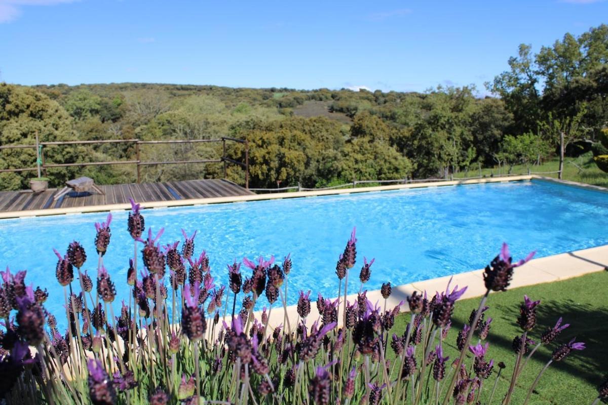 Quinta Da Devesa -B2 Hotel Vinhais Bagian luar foto