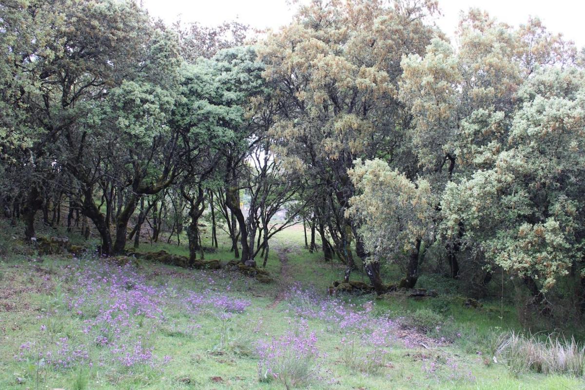 Quinta Da Devesa -B2 Hotel Vinhais Bagian luar foto